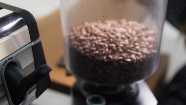 Plastikowy pojemnik ze świeżą ziarnem kawy w kawiarni — Wideo stockowe