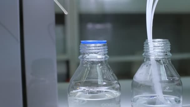 Putting plastic stick into bottle with liquid in workshop — Stock Video