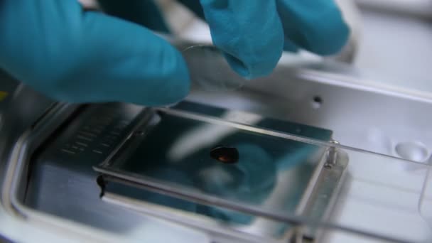 Ученый кладет маленькое круглое стекло на слайд с каплей крови — стоковое видео