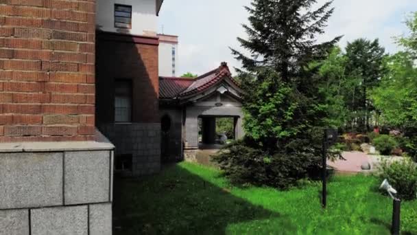 Çimenlik çam ve çardaklı rahat kır evinin arka bahçesi — Stok video
