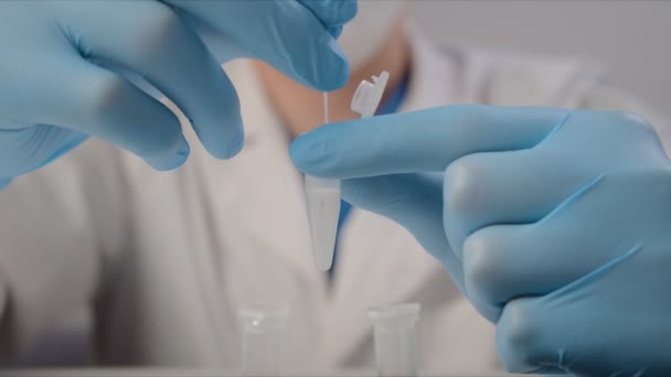 Lääkäri laittaa näytteen näytteen kanssa sepelvaltimovirus testi putkeen — kuvapankkivideo