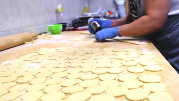 Žena krájí kulaté kousky ze syrového těsta, aby se knedlíky — Stock video