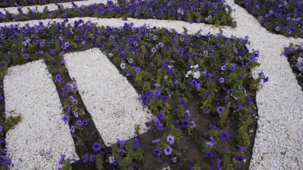 Blomstersäng med blommande växter och vit logotyp nära kontoret — Stockvideo