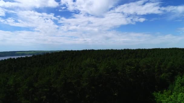 하늘 아래 호수까지 이어지는 놀라운 소나무 숲 과 구름 — 비디오