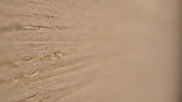 Motion up along rustic wooden surface on blurred background — Stockvideo