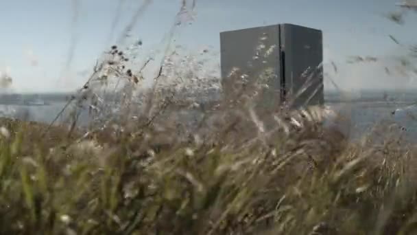Grigio frigorifero si trova tra erba campo ondulato dal vento — Video Stock