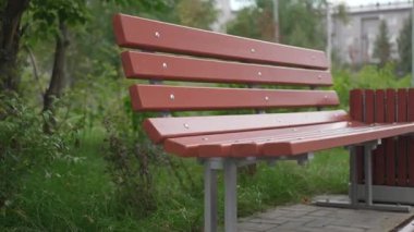 Yumuşak kıvrımlı geçiş dönemi olan ahşap bank yoğun yeşil çalılarla çevrili duruyor. Tasarım sakin ergonomik ve davetkar park aksanı yaratır