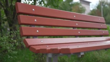 Şehir parkındaki yemyeşil yapraklı tepe örtüsünün altına sade ahşap bir bank. Yumuşak gün ışığı ve yeşillik rahatlığın yanı sıra rahatlığı da çağrıştırıyor.