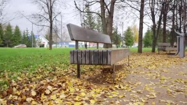 Pürüzsüz panellerden yapılan cilalanmış ahşap bank sonbahar parkı ortamında sıcak bir şekilde parlıyor. Düşen sarı yapraklar yumuşak mevsimsel doku oluşturur
