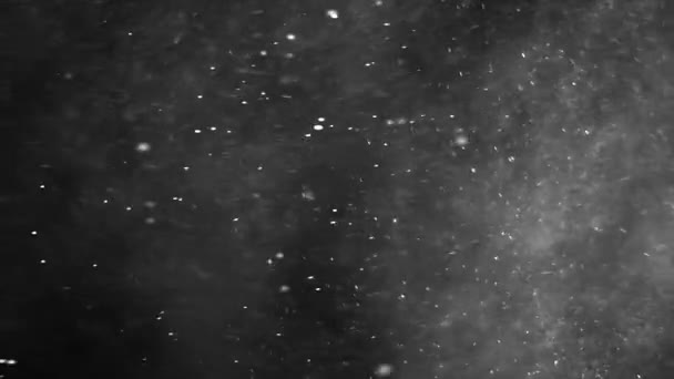Kerst Sneeuwvlokken Kolken Vallen Langzaam Tegen Een Zwarte Achtergrond Kerst — Stockvideo