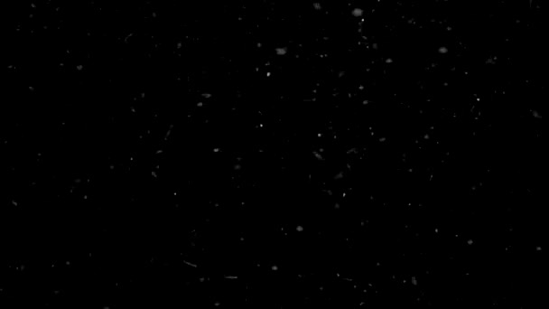 Weihnachtsschneeflocken Wirbeln Und Fallen Langsam Vor Schwarzem Hintergrund Weihnachts Und — Stockvideo