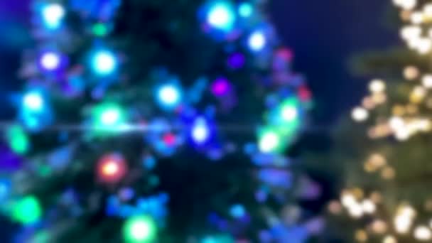 Seçici Odaklanma Noel Ağacı Süsleri Bastonlu Şekerler Yanıp Sönen Çelenkler — Stok video