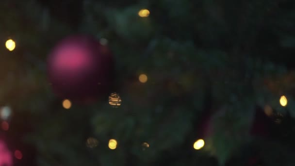 복장과 크리스마스 트리의 성탄절 배경으로 결함이 불가사의 — 비디오