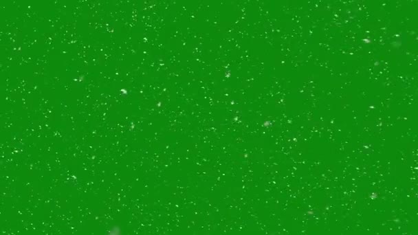 Falling Snow Isolated Green Screen Large Small Snowflakes Flying Side — Stock Video