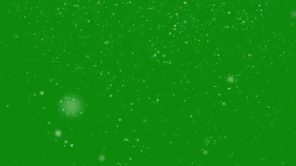 緑の画面に降る雪を表す高品質のモーションアニメーション — ストック動画