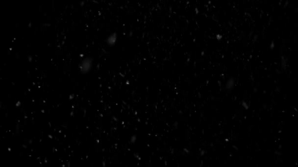拍的是无影无踪高质量的动作片在黑色背景上挡住了降雪 — 图库视频影像