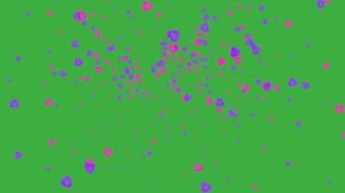 Yeşil ekranda yüzen soyut pembe ve mor kalpler. Sevgililer Günü 