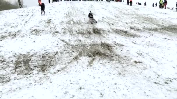 Χειμώνα Χιονισμένη Μέρα Κορίτσι Που Διασκεδάζει Είναι Έλκηθρο Από Την — Αρχείο Βίντεο