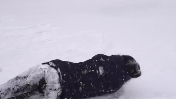 Glückliches Mädchen Flauschigen Schnee Leichte Flauschige Flocken Fliegen Umher Kühle — Stockvideo