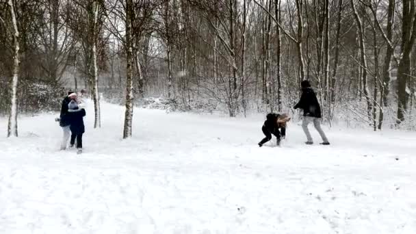 晴れた冬の日に雪と遊ぶことを楽しんでいる幸せな家族 雪玉を遊べ スポーツ クリスマス — ストック動画