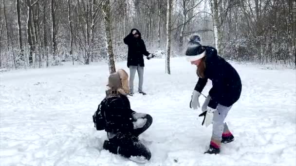在一个阳光明媚的冬日 快乐的家庭在雪地里玩耍 打雪球 圣诞节 — 图库视频影像