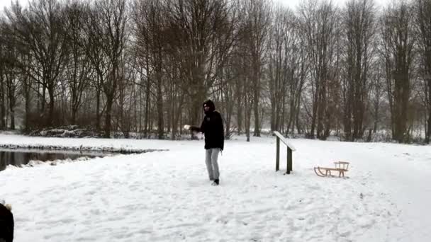 Glückliche Familie Die Spaß Beim Spielen Mit Schnee Einem Sonnigen — Stockvideo