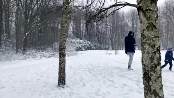 Gelukkig Gezin Dat Plezier Heeft Met Het Spelen Met Sneeuw — Stockvideo