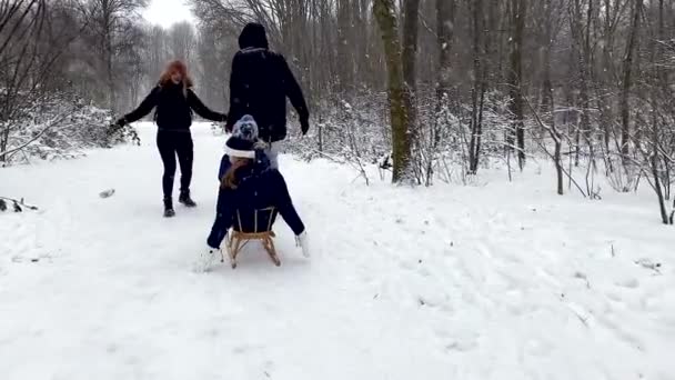 这个快乐的家庭一边在冬日的公园里散步 一边滑雪橇 玩得很开心 — 图库视频影像