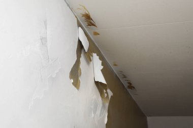 Duvar kağıdı yırtılmış kirli bir duvar parçası. Daire yenileme kavramı. Güvenilir resim