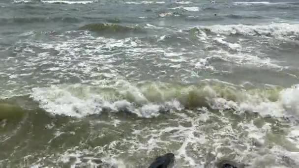 Морские Волны Брызгами Пеной Разбиваются Скалистый Берег — стоковое видео
