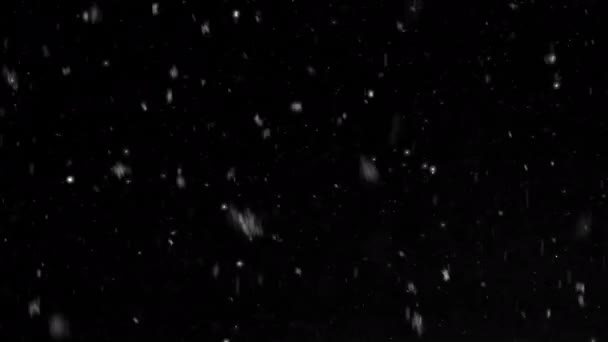 雪の結晶風によって移動旋回 黒い背景に降るクリスマスの雪 — ストック動画