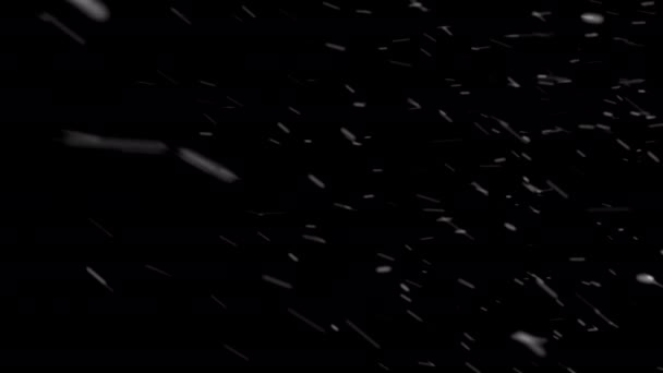 4Kの黒い背景で吹雪 濃いクリスマス雪が黒い背景に降っています クリスマス吹雪だ 雪の結晶風によって移動旋回 雪の渦 黒を背景に雪 — ストック動画