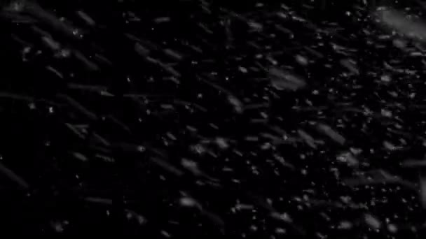 Snowstorm Black Background Heavy Christmas Snow Falling Black Background Thick — Stock Video