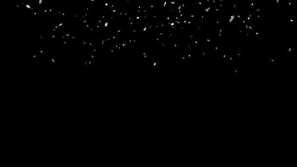 Snow Overlay Large Small Christmas Snowflakes Slowly Whirl Black Background — Stock Video