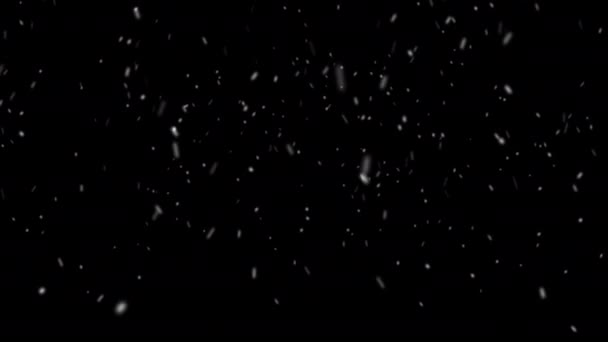 雪片は旋回し 黒い背景に輝きます 4Kで雪のオーバーレイ アルファチャンネル — ストック動画