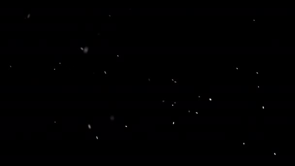 Schneedecke Defokussierte Große Und Kleine Weihnachtsschneeflocken Wirbeln Langsam Vor Schwarzem — Stockvideo