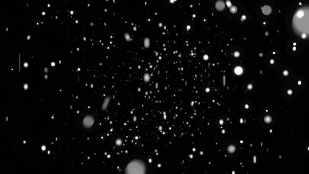 Kepingan Salju Yang Kabur Melayang Dan Bersinar Latar Belakang Hitam — Stok Video