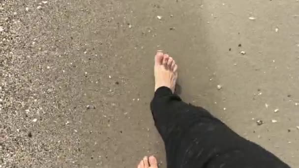 Hommes pieds marchant sur le rivage de la mer — Video