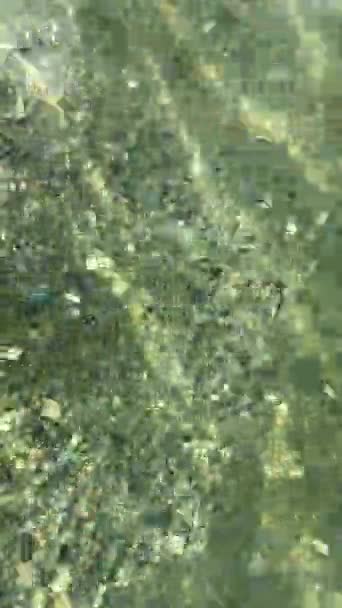 碧绿清澈的海水在阳光下闪闪发光 — 图库视频影像
