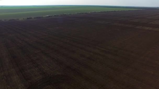 Panorama sobre hermoso campo verde y marrón — Vídeos de Stock