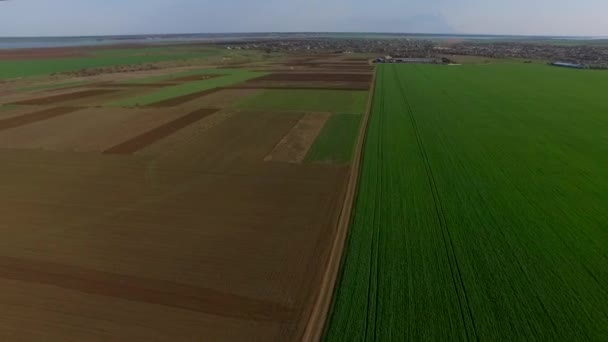 Panorama över vackra gröna och bruna fält — Stockvideo