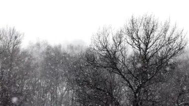 Parkın üzerinde kar fırtınası