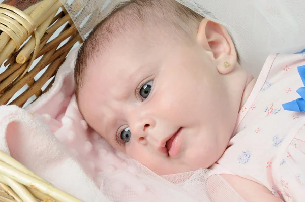 Cute baby lying in the basket — Stock Photo, Image