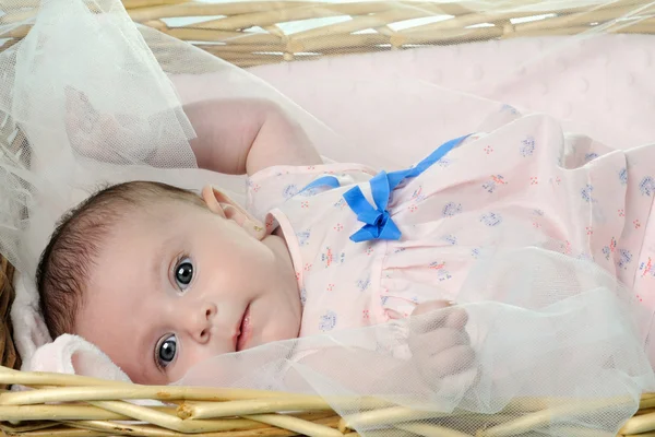 Bebê bonito deitado na cesta — Fotografia de Stock