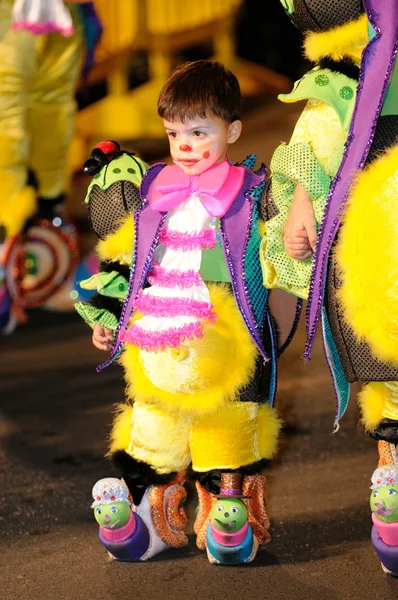 TENERIFE, 17 DE FEBRERO: Grupos de carnaval y personajes disfrazados —  Fotos de Stock