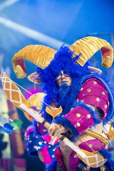 TENERIFE, JANUARY 20: Carnival groups and costumed characters — Φωτογραφία Αρχείου