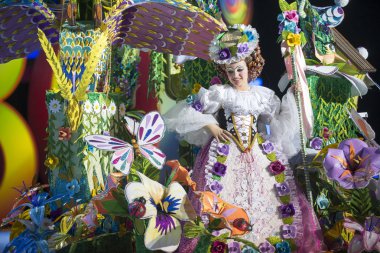 TENERIFE, JANUARY 24: Characters and Groups in The carnival