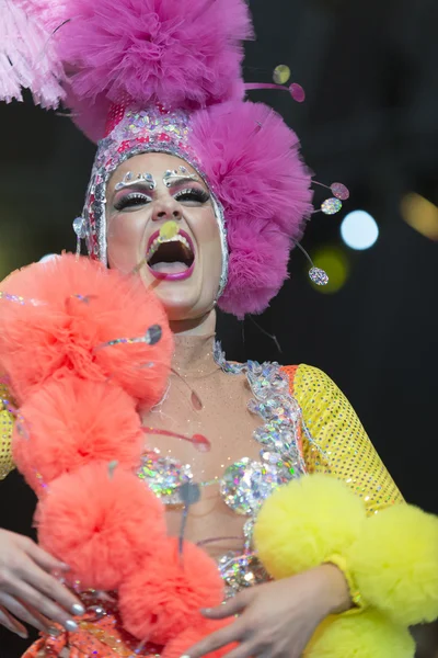 TENERIFE, JANUARY 30: Characters and Groups in The carnival. — Stock Photo, Image