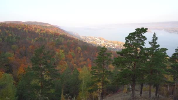 Vista de otoño desde la montaña hasta el gran río, en el bosque con hojas doradas y abetos verdes. Otoño en el bosque. — Vídeos de Stock