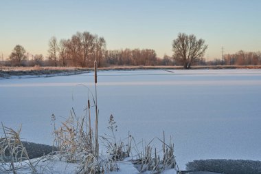 Kışın nefesi, göldeki ilk buz, soğuk bir sabahın şafağı çimenlerin üzerinde don, buzun yakın çekimi, ilk buzun üzerindeki desenler.